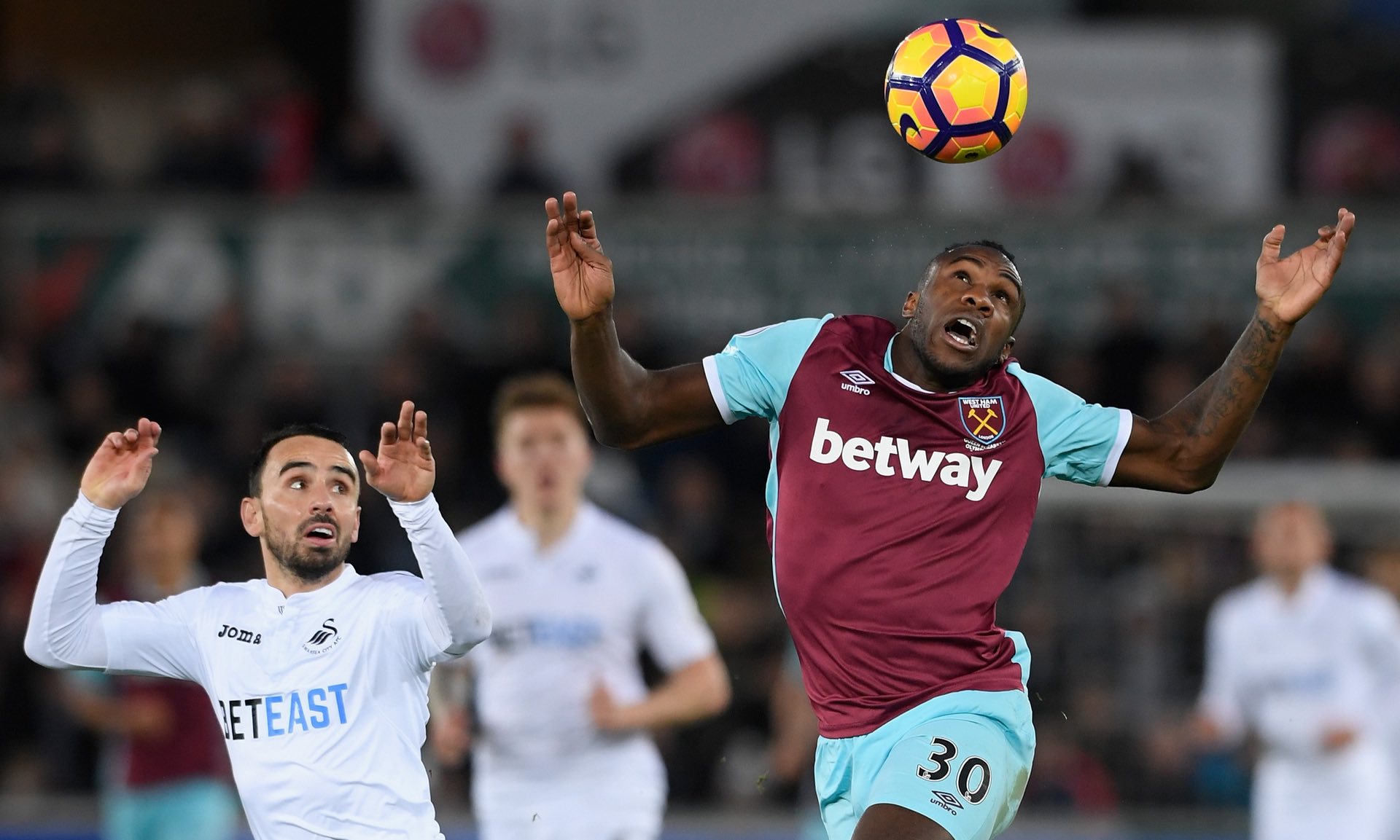 布鲁诺的偶 布鲁诺的偶